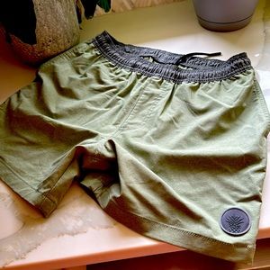 Chubbies Small Workout Hybrid Short